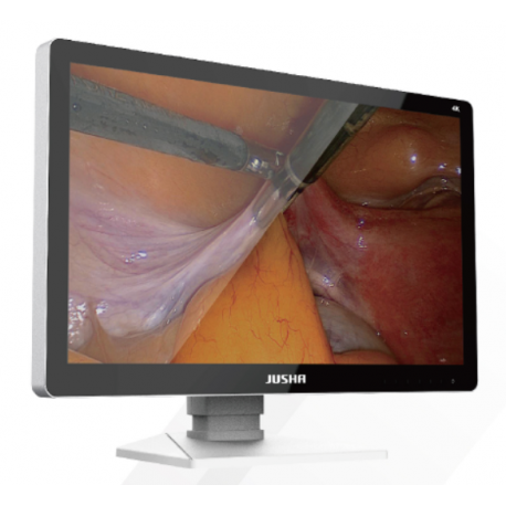 Pantalla monitor endoscopia 27" 4K grado médico E270UAG