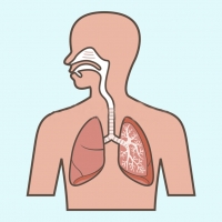 Espirometria i avaluació de la funció pulmonar